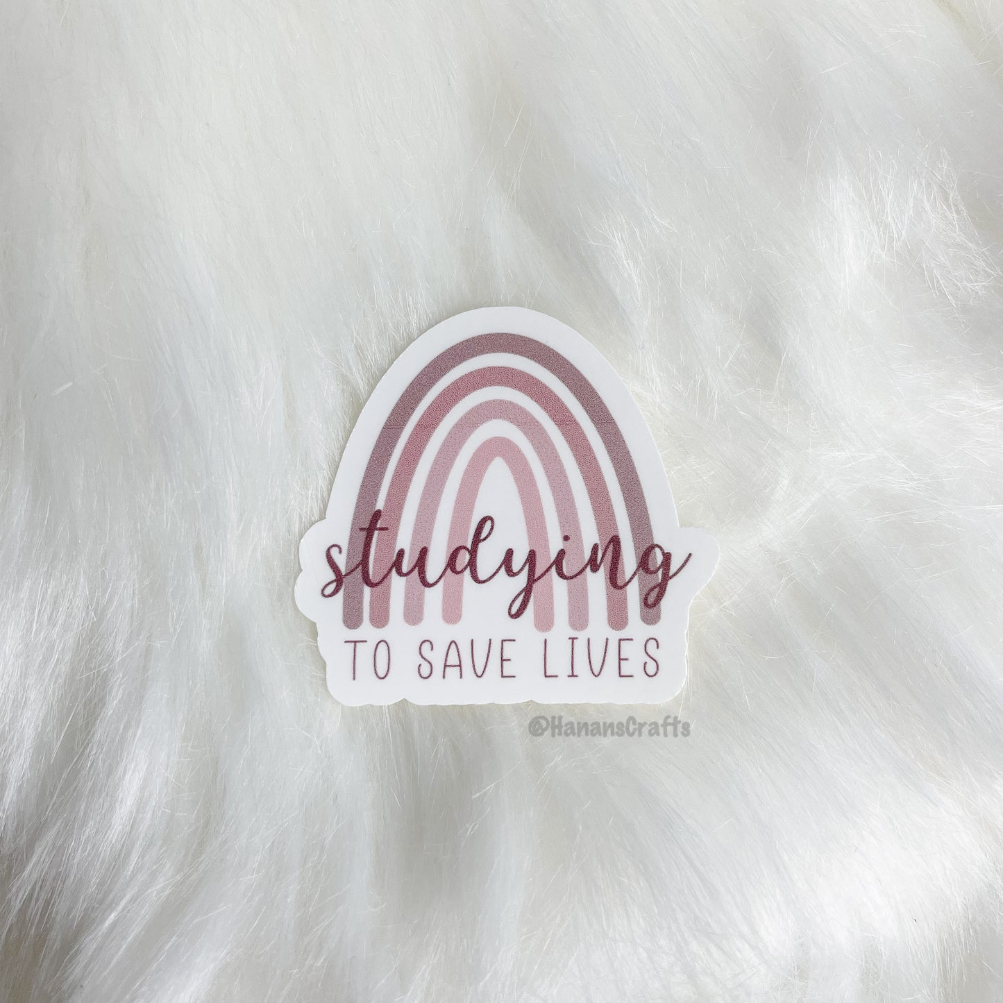 Studying to Save Lives Rainbow Sticker